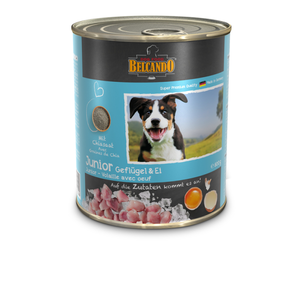 BELCANDO Dose Junior Geflügel mit Ei 800 g, Hochwertige Feuchtnahrung für Ihren Hund.