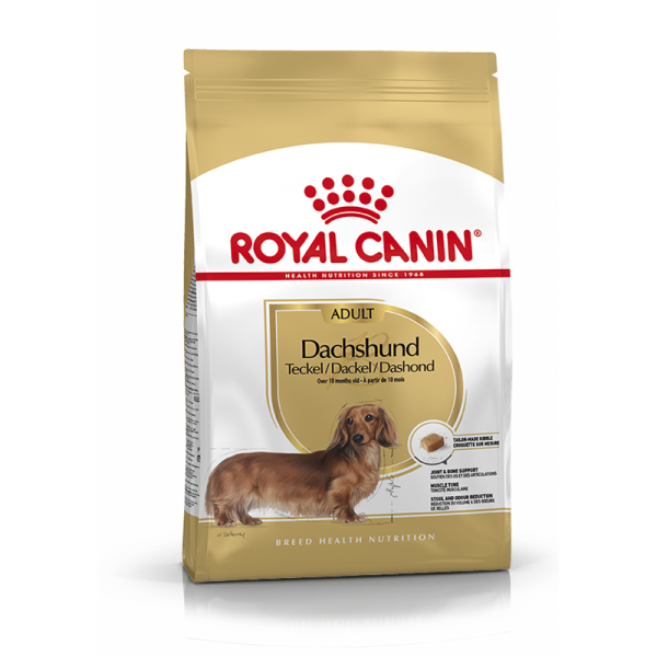 Royal Canin Breed Health Nutrition Dachshund Adult 500 g, Alleinfuttermittel für Hunde speziell für ausgewachsene und ältere Dackel ab dem 10. Monat.