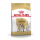 Royal Canin Breed Health Nutrition Bulldog Adult 3 kg, Alleinfuttermittel speziell für ausgewachsene und ältere Englische Bulldoggen ab dem 12. Monat.