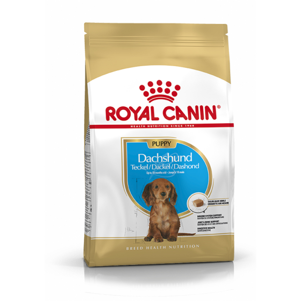 Royal Canin Breed Health Nutrition Dachshund Junior 1,5 kg, Alleinfuttermittel für Hunde speziell für Dackelwelpen bis zum 10. Monat.