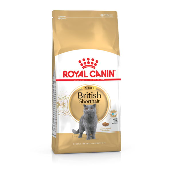 Royal Canin Feline Breed Nutrition British Shorthair Adult 10 kg, Alleinfuttermittel für Katzen - Speziell für ausgewachsene British Shorthair Katzen - Ab dem 12. Monat