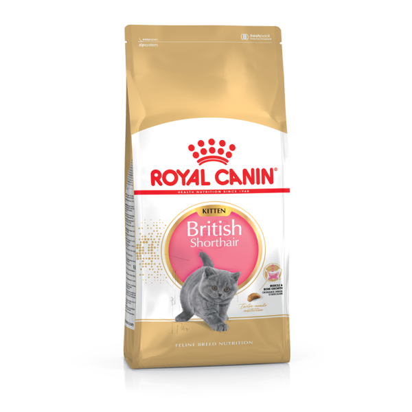 Royal Canin Feline Breed Nutrition British Shorthair Kitten 2 kg, Alleinfuttermittel für British Shorthair Kitten - bis 12 Monate