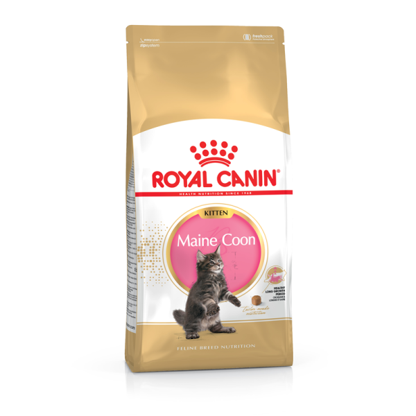 Royal Canin Feline Breed Nutrition Maine Coon Kitten 400 g, Alleinfuttermittel für Maine Coon Kitten bis 15 Monate