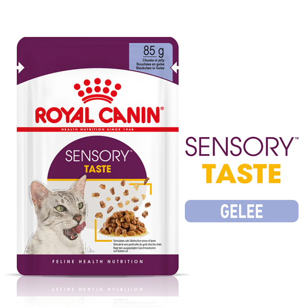 Royal Canin FHN Sensory Taste Jelly FB 85 g