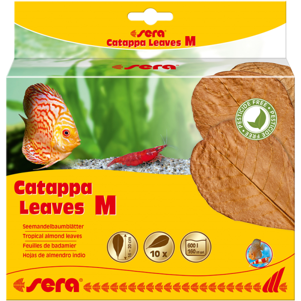 sera Catappa Leaves M 10 Stück, Seemandelbaumblätter für die natürliche Wasseraufbereitung