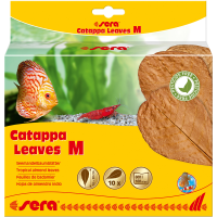 sera Catappa Leaves M 10 Stück