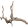 sera Scaper Root XS 18 - 20 cm, Filigrane Wurzel in drei verschiedenen Größen