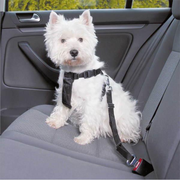Trixie Auto-Sicherheitsgeschirr mit Anschnallgurt schwarz S 30-60 cm, Hunde Zubehör