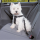 Trixie Auto-Sicherheitsgeschirr mit Anschnallgurt schwarz XS 20-50 cm, Hunde Zubehör