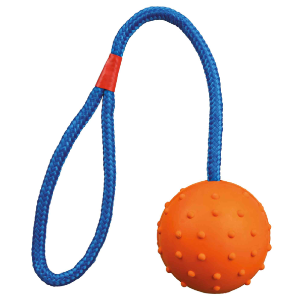 Trixie Naturgummi Ball am Seil ø 6 cm / 30 cm, Hundespielzeug