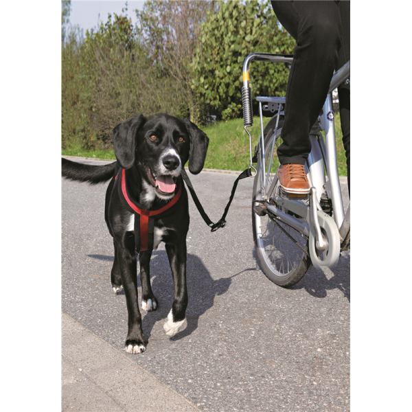 Trixie Hunde Biker-Set S-M, Hunde Fahrrad Zubehör