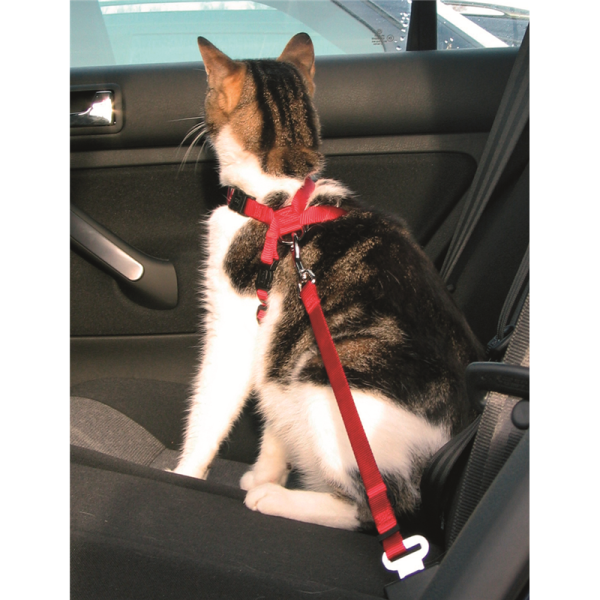 Trixie Auto-Sicherheitsgeschirr rot 20 - 50 cm / 15 mm, Katzen Zubehör