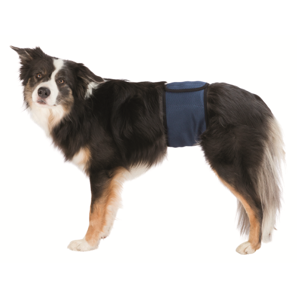 Trixie Rüdenbinde Mesh-Material dunkelblau M 45-55 cm, Hygieneartikel für Hunde