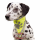 Trixie Safer Life Halstuch reflektierend neongelb XL 43-60 cm, Für Hunde. Für mehr Sicherheit im Straßenverkehr.