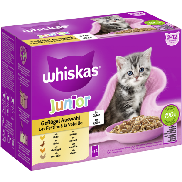 WHISKAS® Portionsbeutel Multipack Junior Geflügel Auswahl in Gelee 12 x 85g, Alleinfuttermittel für heranwachsende Katzen - Tiernahrung.