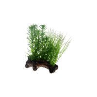 Dohse HOBBY Flora Root 2 Small 17 cm