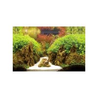 Dohse HOBBY Fotorückwand Canyon/Woodland 50 cm hoch...