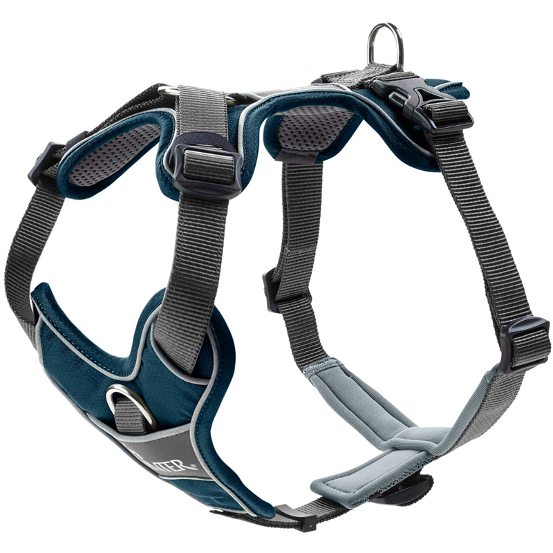 Hunter Divo Geschirr XS petrol/grau