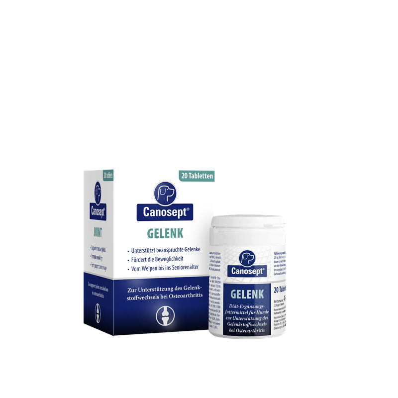 Canosept Gelenktabletten klein 20 Stück