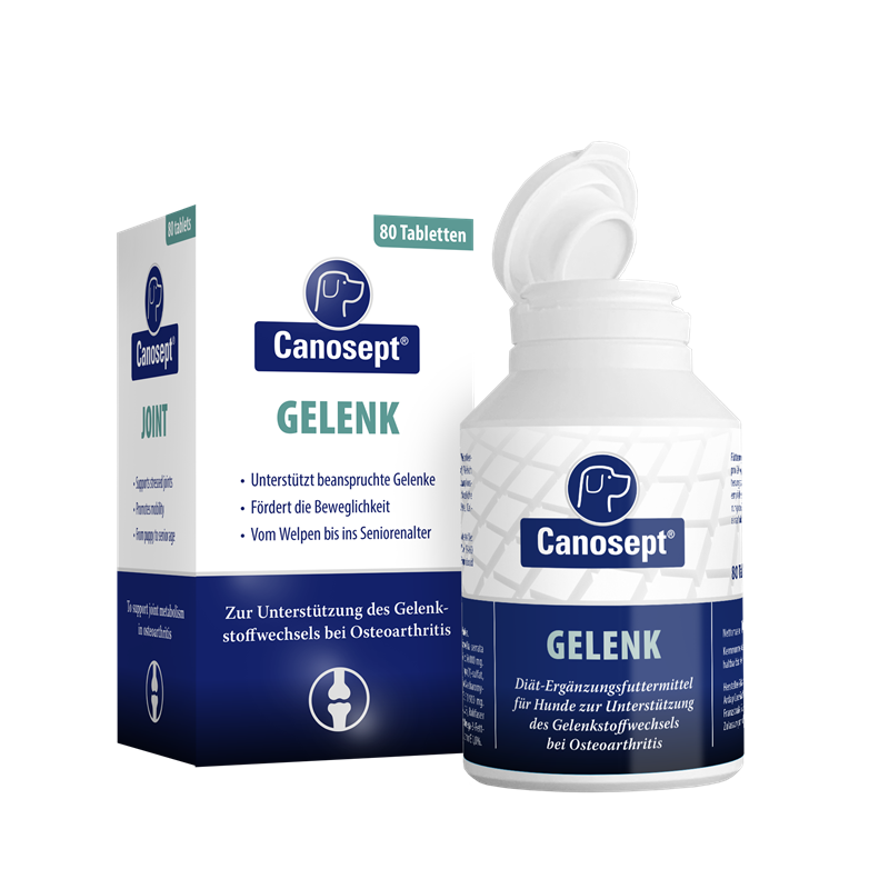 Canosept Gelenktabletten groß 80 Stück