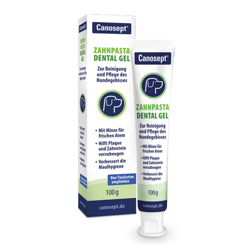 Canosept Zahnpasta Dental Gel 100 g