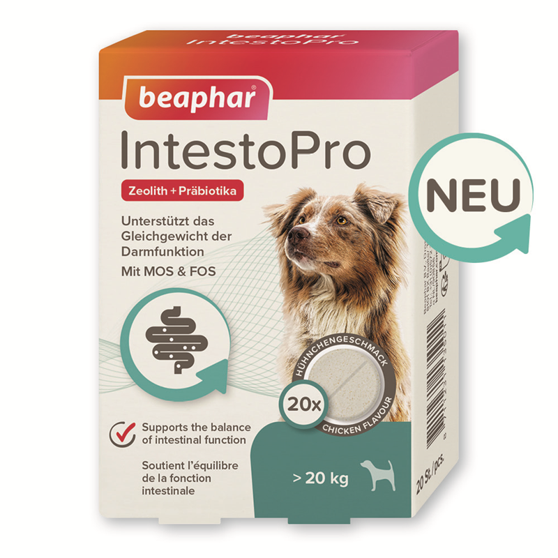 Beaphar IntestoPro Tabs für große Hunde 20 Sück