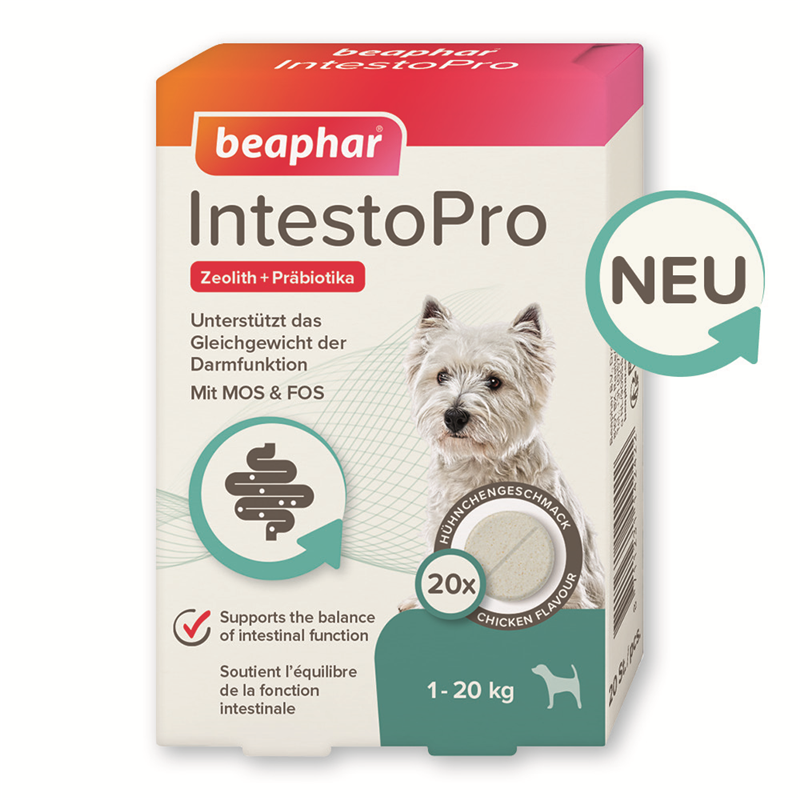 Beaphar IntestoPro Tabs für kleine Hunde 20 Stück