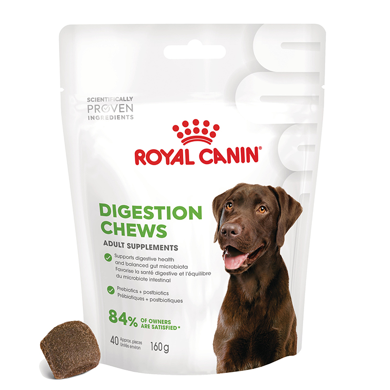 Royal Canin Digestion Chews Adult Supplements 6x160g