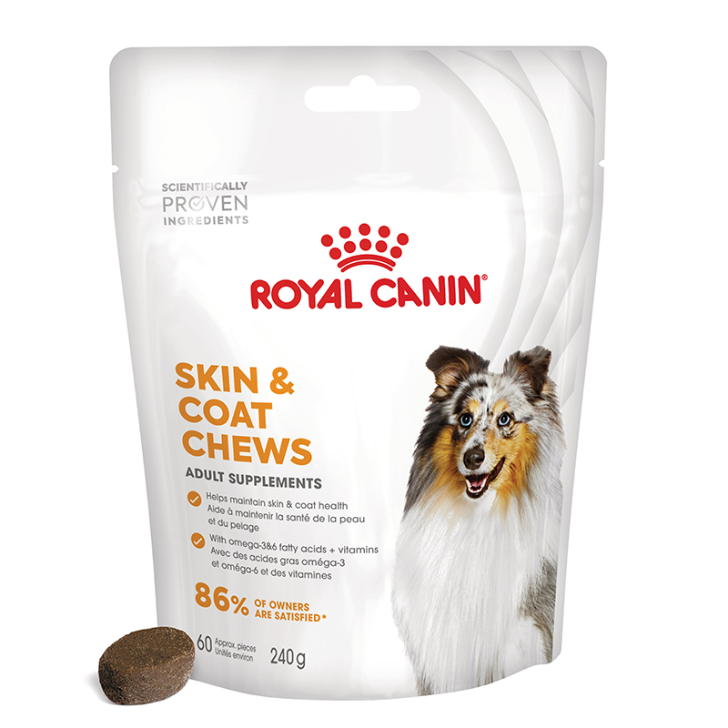 Royal Canin Skin & Coat Chews Adult Supplements 5x240g