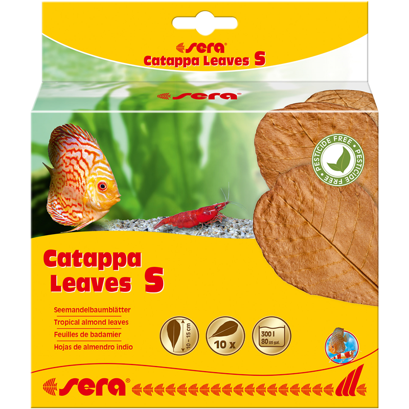 sera Catappa Leaves S 10 Stück