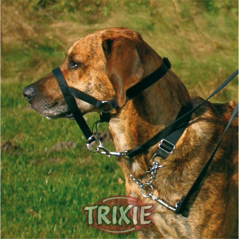Trixie Top Trainer Asubildungsgeschirr schwarz XL 46 cm / Nackenband 54-66 cm
