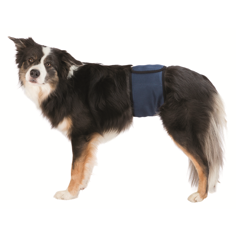 Trixie Rüdenbinde Mesh-Material dunkelblau L 55-65 cm