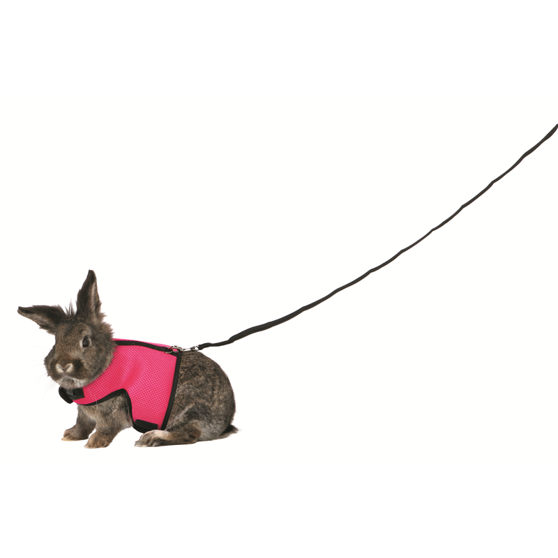 Trixie Softgeschirr mit Leine für Kaninchen  25 - 40 cm / 1,2 m