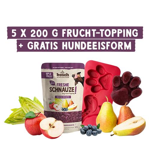 Freshe Schnauze Aktionsbox Topping + Eisform