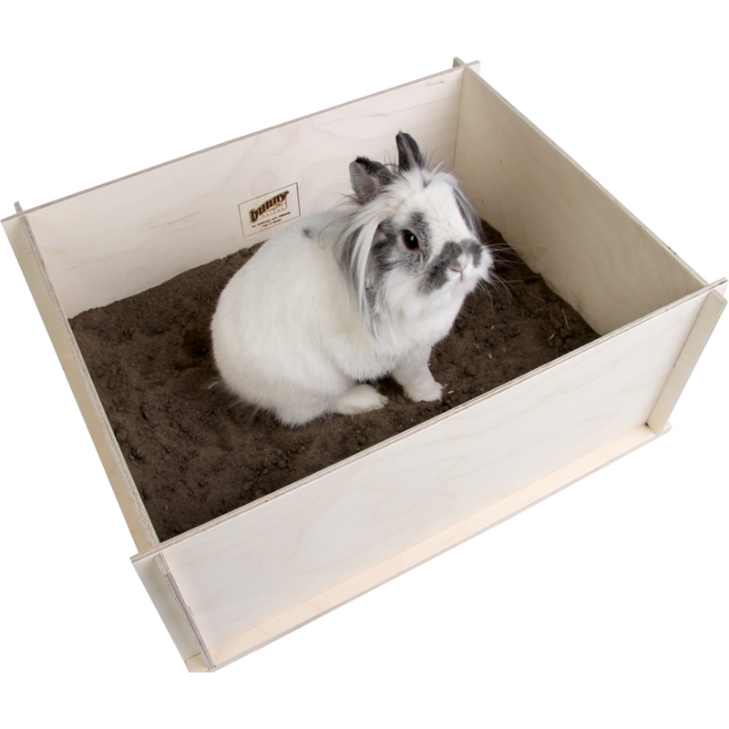 Bunny Interactive Buddelkiste