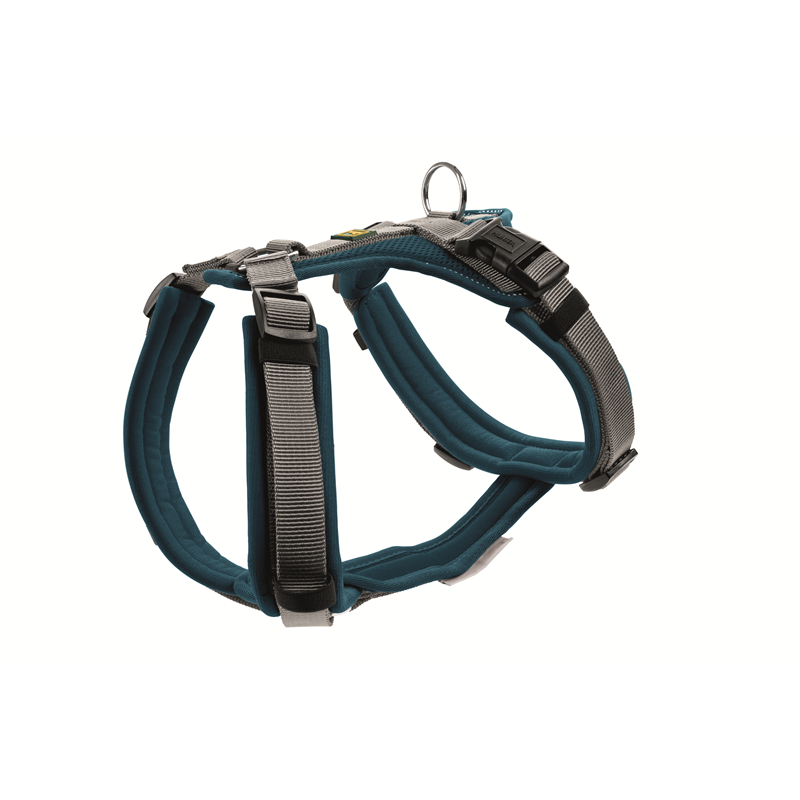 Hunter Geschirr Maldon Up 37-53/XS-S petrol/grau