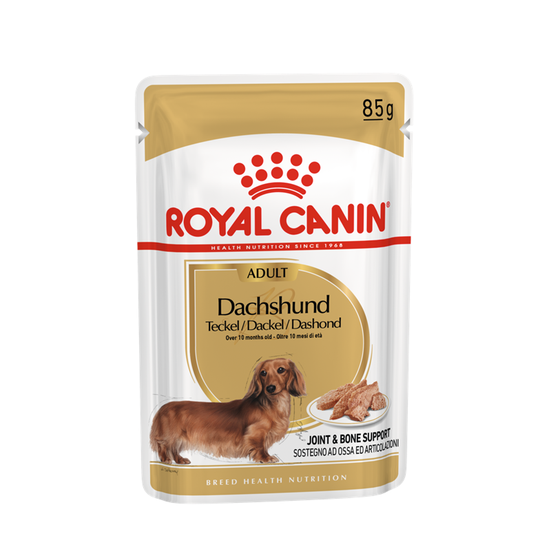 Royal Canin Breed Health Nutrition Dachshund Adult 85 g Frischebeutel