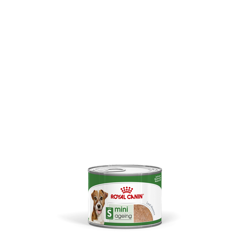 Royal Canin MINI Ageing Feuchtnahrung als Mousse (>8. Lebensjahr)