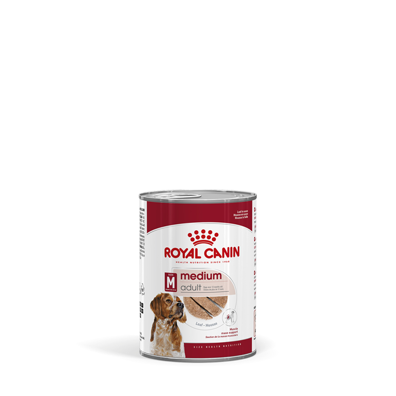 Royal Canin MEDIUM Adult  Feuchtnahrung als Mousse (>12. Lebensmonat)