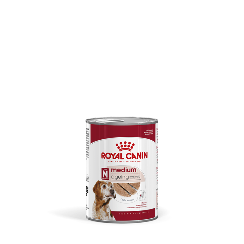 Royal Canin MEDIUM Ageing Feuchtnahrung als Mousse (>7. Lebensjahr)