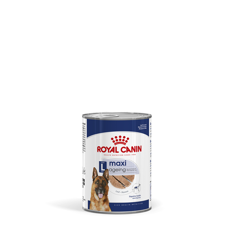 Royal Canin MAXI Ageing Feuchtnahrung als Mousse (>5. Lebensjahr)