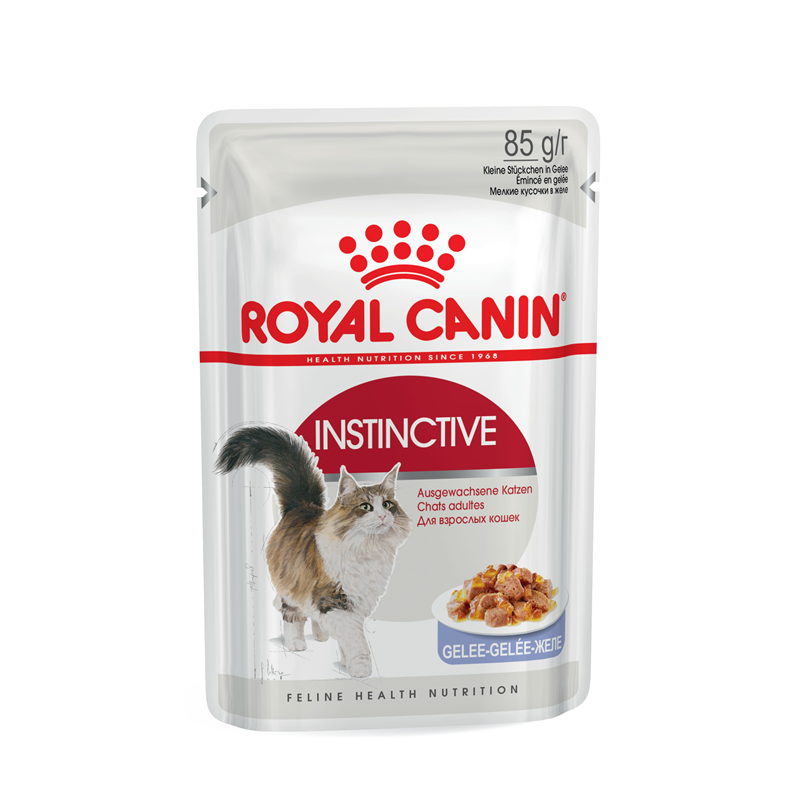 Royal Canin Feline Health Nutrition Instinctive in Gelee 85 g Frischebeutel